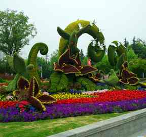 广州五色草绿雕立体花坛引领广东视觉盛宴